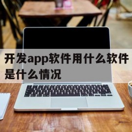 开发app软件用什么软件是什么情况的简单介绍