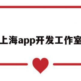 上海app开发工作室(上海app开发人员工资多少)