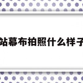 网站幕布拍照什么样子的(网站幕布拍照什么样子的好)