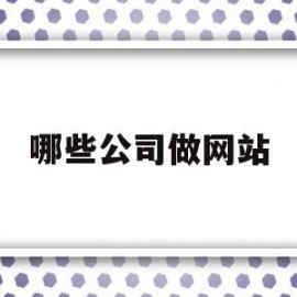 哪些公司做网站(做网站哪家公司比较好而且不贵)