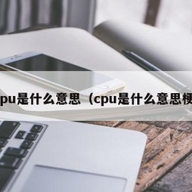 cpu是什么意思（cpu是什么意思梗）