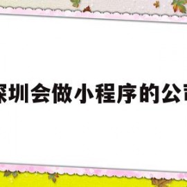 深圳会做小程序的公司(深圳会做小程序的公司叫什么)