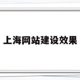 上海网站建设效果(上海网站建设技术支持)