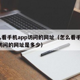 怎么看手机app访问的网址（怎么看手机app访问的网址是多少）