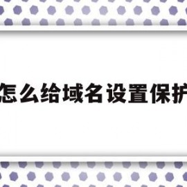 怎么给域名设置保护(域名保护的几个方面有)