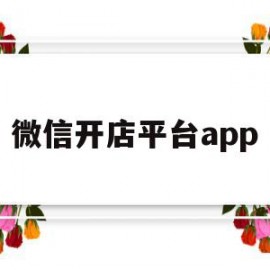 微信开店平台app(微信开店平台抽提成吗)