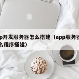 app开发服务器怎么搭建（app服务器用什么程序搭建）