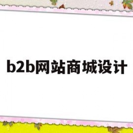 b2b网站商城设计(b2c网站设计)