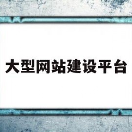 大型网站建设平台(网站建设排行榜)