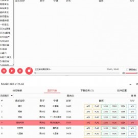 MusicTools 免费小巧的付费歌曲无损音乐下载工具