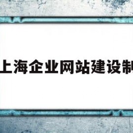 上海企业网站建设制(上海企业网站建设制作公司)