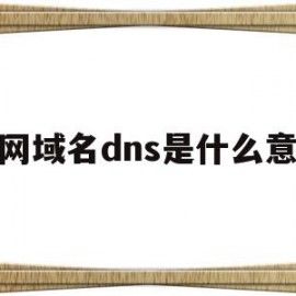 新网域名dns是什么意思(新网域名dns是什么意思啊)