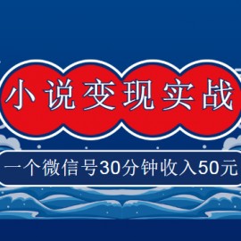 麒麟社vip《小说变现实战班》，一个微信号30分钟收入50元