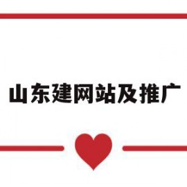 山东建网站及推广(山东建设信息网)