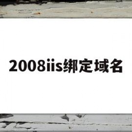 2008iis绑定域名(绑定域名的时候可以指定端口吗)