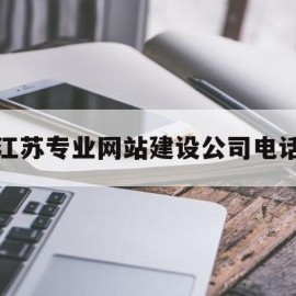 江苏专业网站建设公司电话(苏州高端网站建设公司)