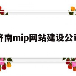 济南mip网站建设公司(济南网络公司建站)