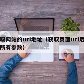 获取网站的url地址（获取页面url后面的所有参数）