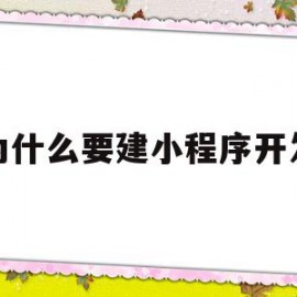 为什么要建小程序开发(为什么要做小程序)