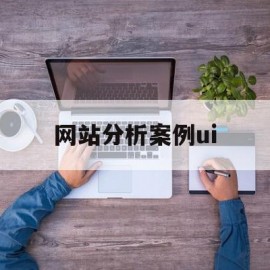 网站分析案例ui(网站分析案例ppt)