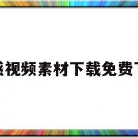 情感视频素材下载免费下载(情感视频素材免费下载无水印)