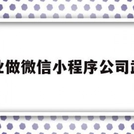 专业做微信小程序公司武汉(专业做微信小程序公司武汉有几家)