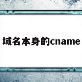 关于域名本身的cname的信息