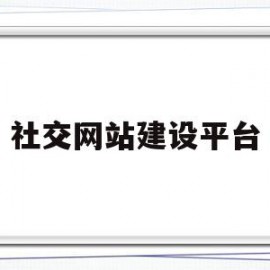 社交网站建设平台(社交网站建设平台是什么)