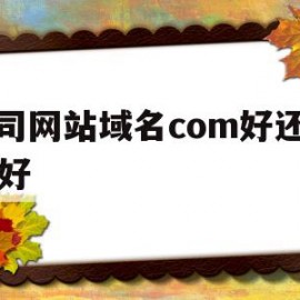 公司网站域名com好还是cn好(公司网站域名com好还是cn好用)