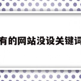 有的网站没设关键词(网站关键词没有排名多久恢复)