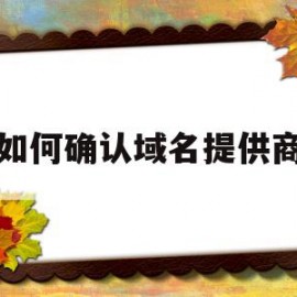 如何确认域名提供商(如何确认域名提供商名称)