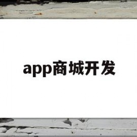 app商城开发(app商城开发报价)