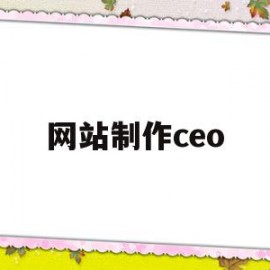 网站制作ceo(网站制作费用计入什么科目)