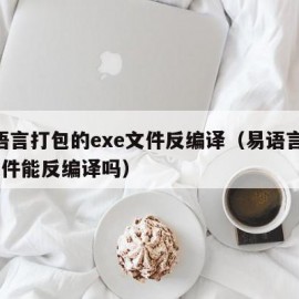 易语言打包的exe文件反编译（易语言exe文件能反编译吗）