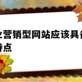 企业营销型网站应该具备什么特点的简单介绍