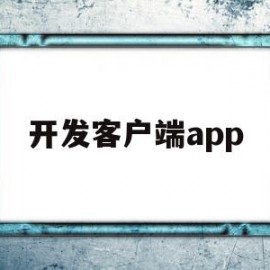 开发客户端app(开发客户端要考虑的因素)