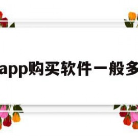 在app购买软件一般多钱(购买货车app软件哪个最好)