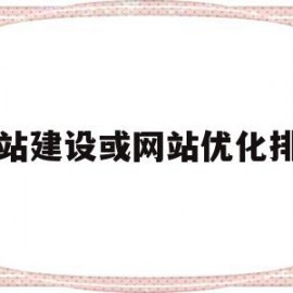 网站建设或网站优化排名(网站建设或网站优化排名怎么填)