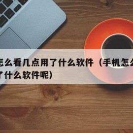 手机怎么看几点用了什么软件（手机怎么看几点用了什么软件呢）