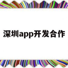 深圳app开发合作(深圳开发app的软件公司)