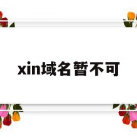 xin域名暂不可的简单介绍