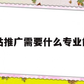 网站推广需要什么专业能力(网站推广需要什么专业能力和能力)