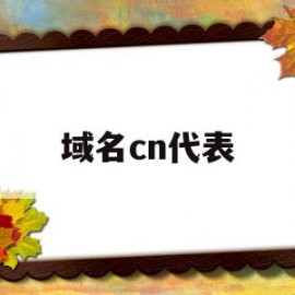 域名cn代表(域名中的cn表示)