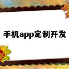 手机app定制开发(手机app定制开发方案)