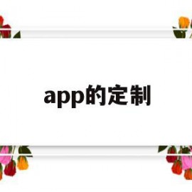 app的定制(app的定制开发)