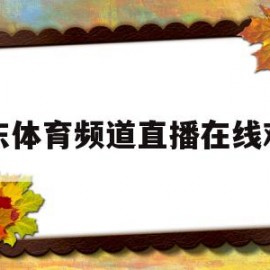 山东体育频道直播在线观看(山东体育频道直播在线观看高清)