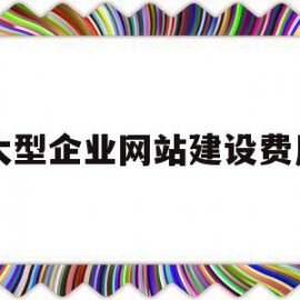 大型企业网站建设费用(大型企业网站建设费用多少)