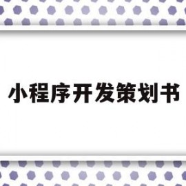 小程序开发策划书(小程序开发策划书模板范文)