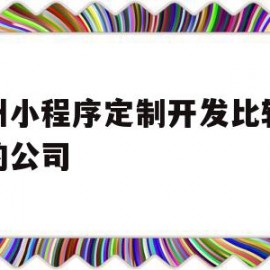 杭州小程序定制开发比较权威的公司(杭州小程序定制开发比较权威的公司有哪些)