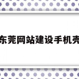 东莞网站建设手机壳(东莞手机壳工厂集中在哪里)